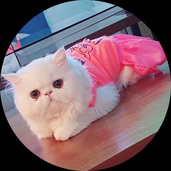 edyambao